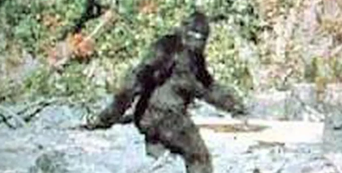 sized-bigfoot_gimli_patterson-e1717357824628-1536x781