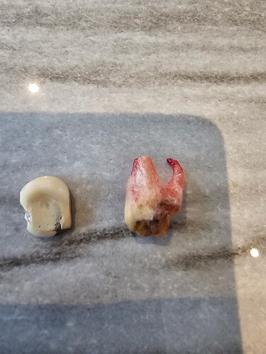 17593844842161588304898863597678