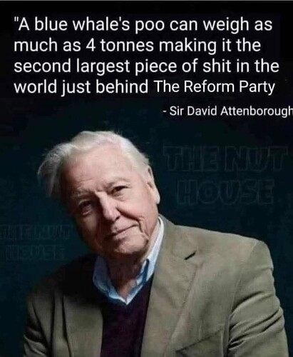 FB_IMG_1761338873439