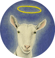 :innocent: :innocent: