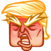 :trumpangry: :trumpangry: