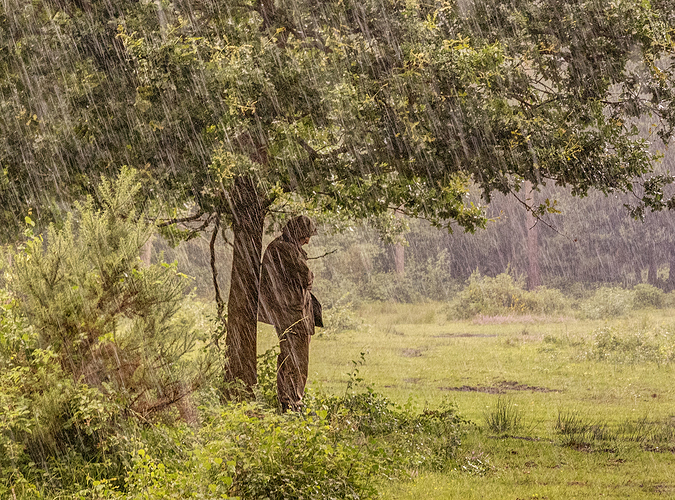 19-08-2019 emer-bog-shelterer