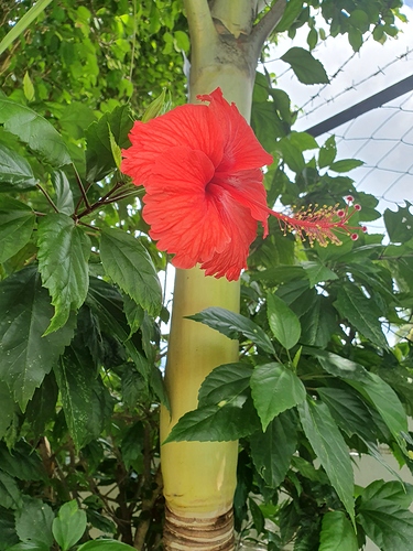 20191101_112458