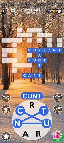 Screenshot_20210101-193358_Wordscapes
