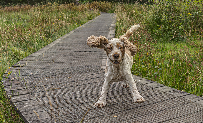 28-07-2022-molly-2
