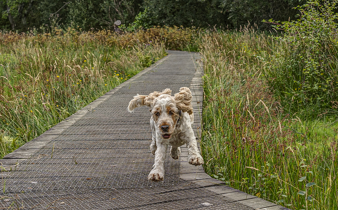28-07-2022-molly-1