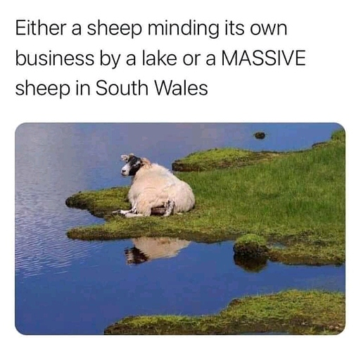 FB_IMG_16170506195859402