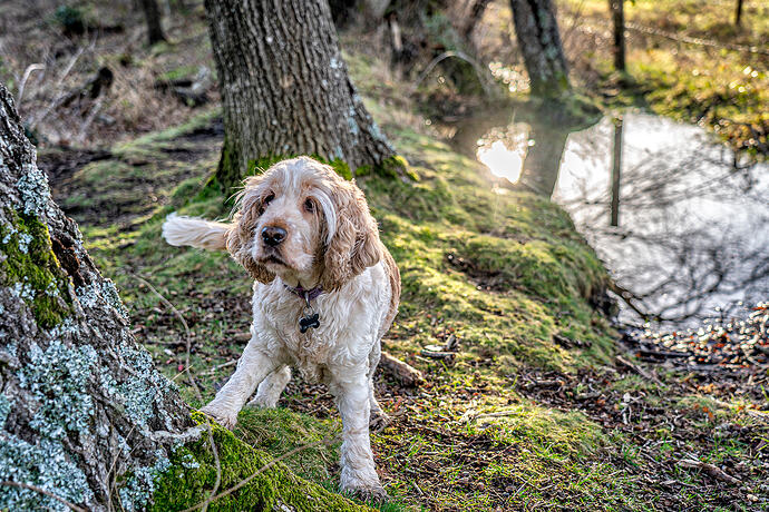 17-02-2026-molly-1