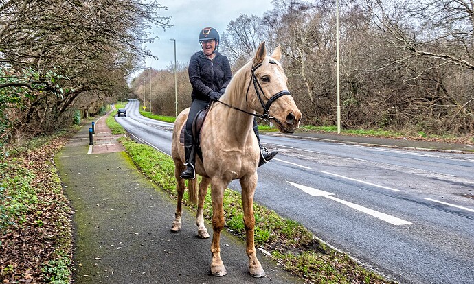 30-12-2024-botley-rd-horserider