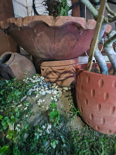 17673510012854886798405590707435