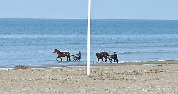 Screenshot_2025-10-08-16-58-58-39_965bbf4d18d205f782c6b8409c5773a4~2