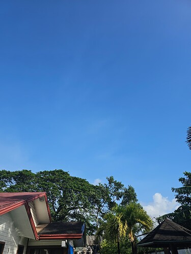 17628203679826275797119584250969