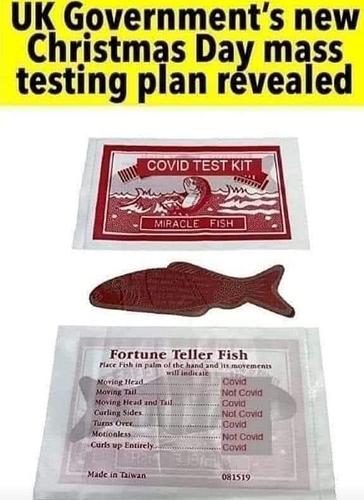 FB_IMG_1608626217613