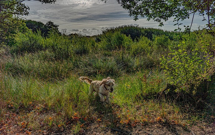 27-08-2025-emer-bog-molly-2