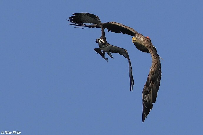 FB_IMG_1756806109934