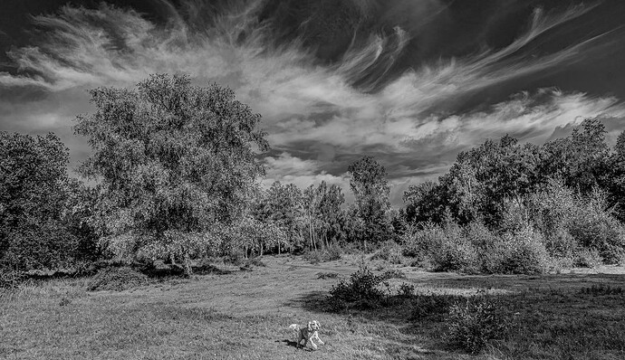 18-07-2025-common-sky-bw