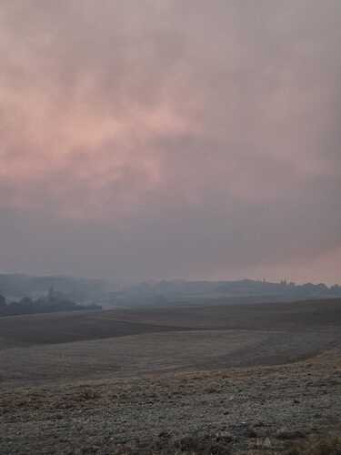 IMG-20250811-WA0013
