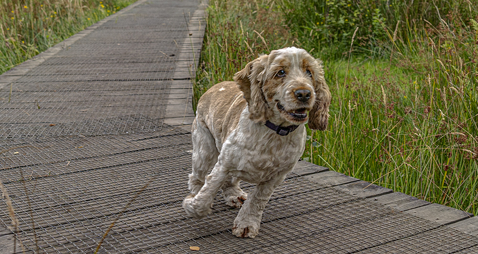 28-07-2022-molly-3