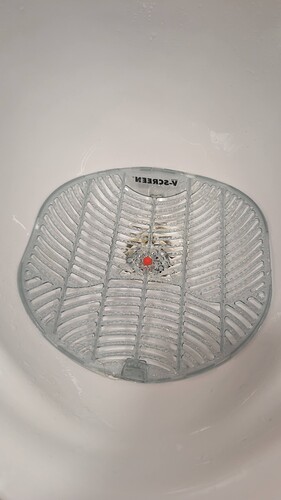 PXL_20251126_112326455.MP