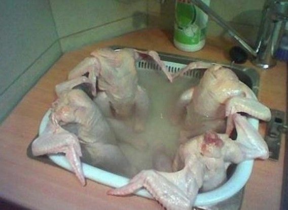 chicken