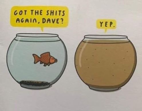 shits