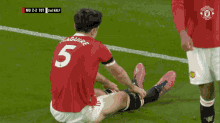 maguire-owngoal