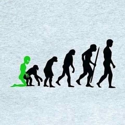 12681