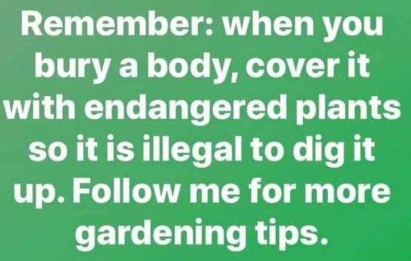 gardening-tip